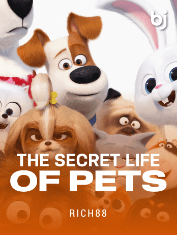 The Secret Life of Pets thumbnail